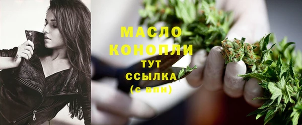 индика Покачи
